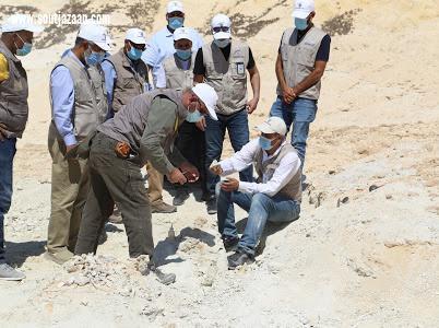 اكتشاف بقايا حوت  منقرض منذ 37 مليون سنة شمال السعودية