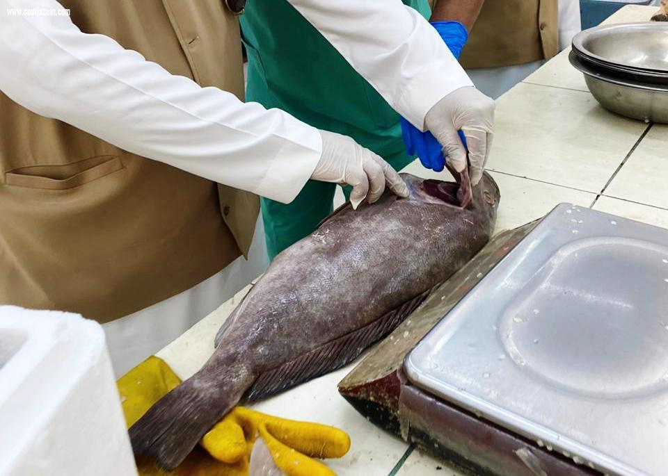 بلدية القريات تنفذ 209 جولة رقابية على المنشآت التجارية