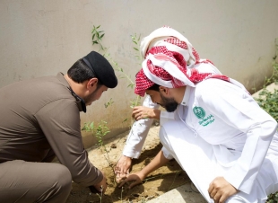 محافظ بيش يدشن زراعة 1000 شجرة بالمحافظة ضمن مبادرة السعودية الخضراء 