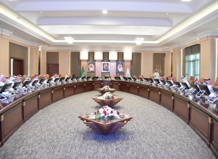 وحدة تحقيق الرؤية بإمارة جازان تنفذ ورش عمل بعنوان النضج المؤسسي 