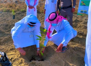 وكيل محافظة العيدابي (النعمي) يدشن فعالية أسبوع البيئة بالعيدابي