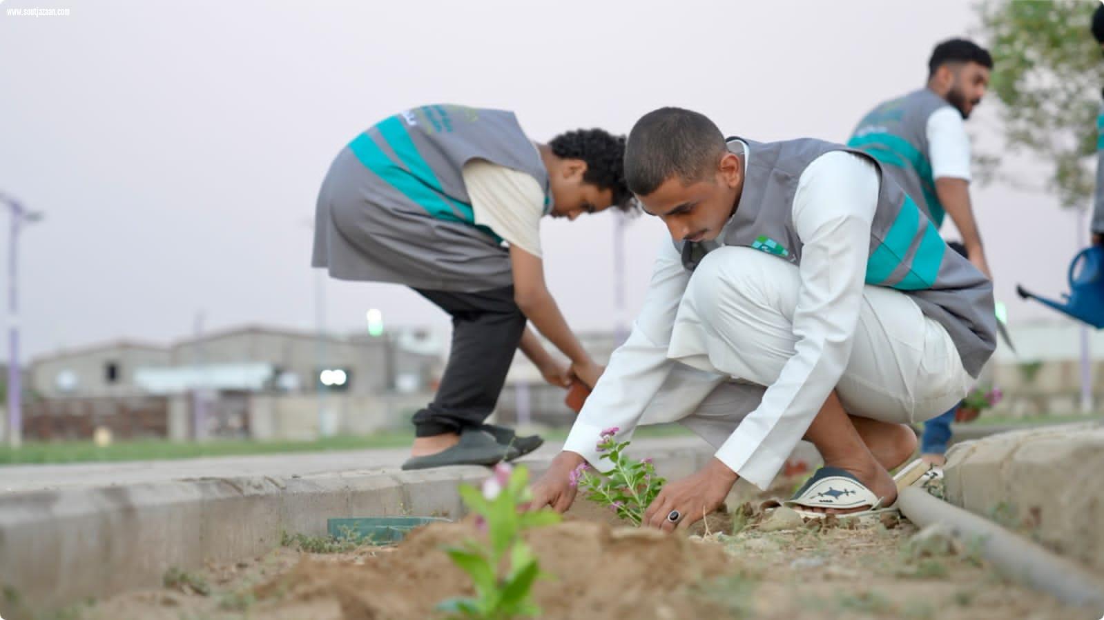 بلدية محافظة صبيا تنفذ مبادرة للتشجير تحت شعار صبيا الخضراء