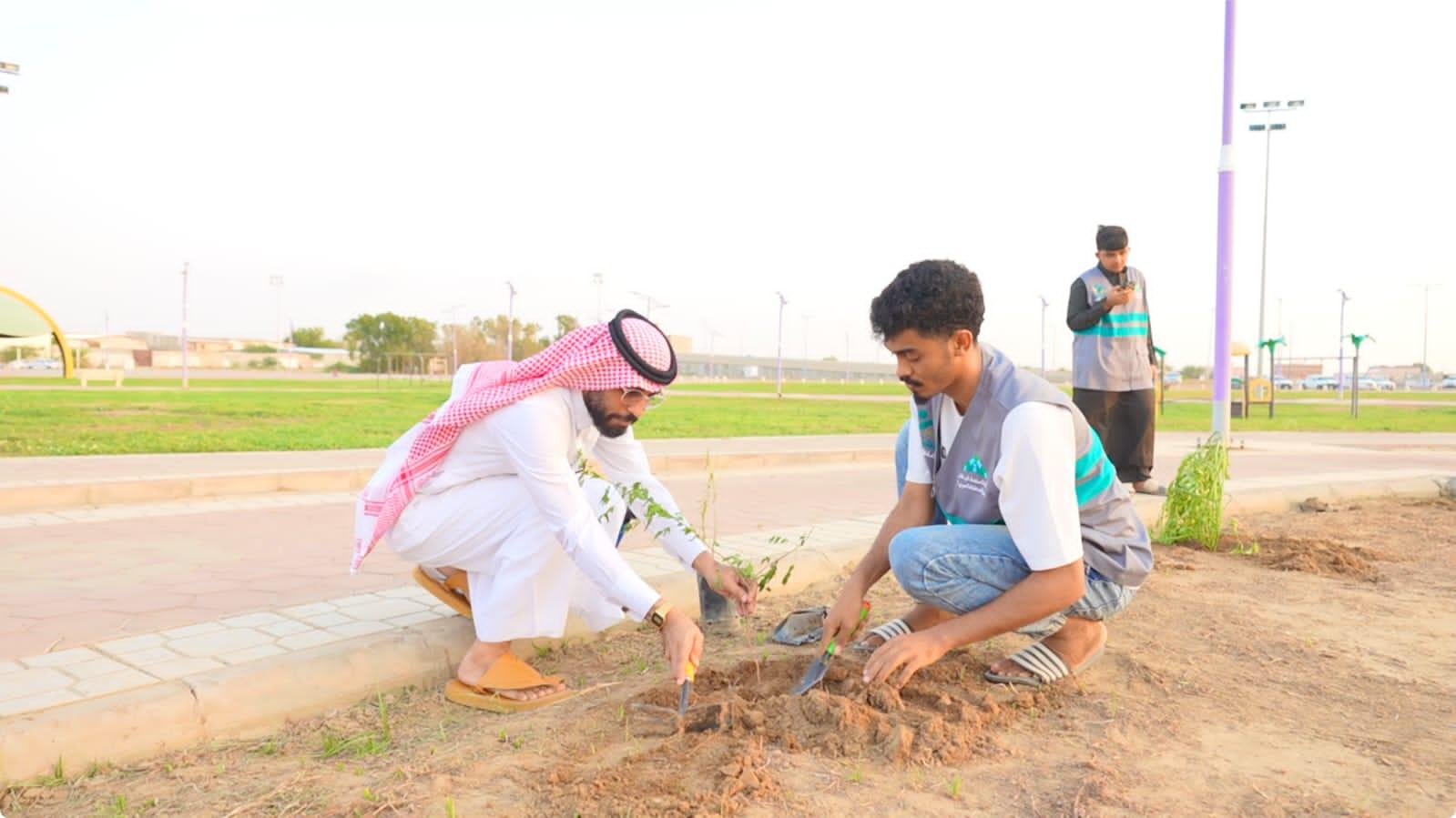 بلدية محافظة صبيا تنفذ مبادرة للتشجير تحت شعار صبيا الخضراء
