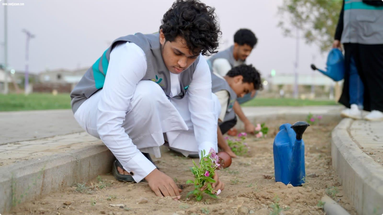 بلدية محافظة صبيا تنفذ مبادرة للتشجير تحت شعار صبيا الخضراء