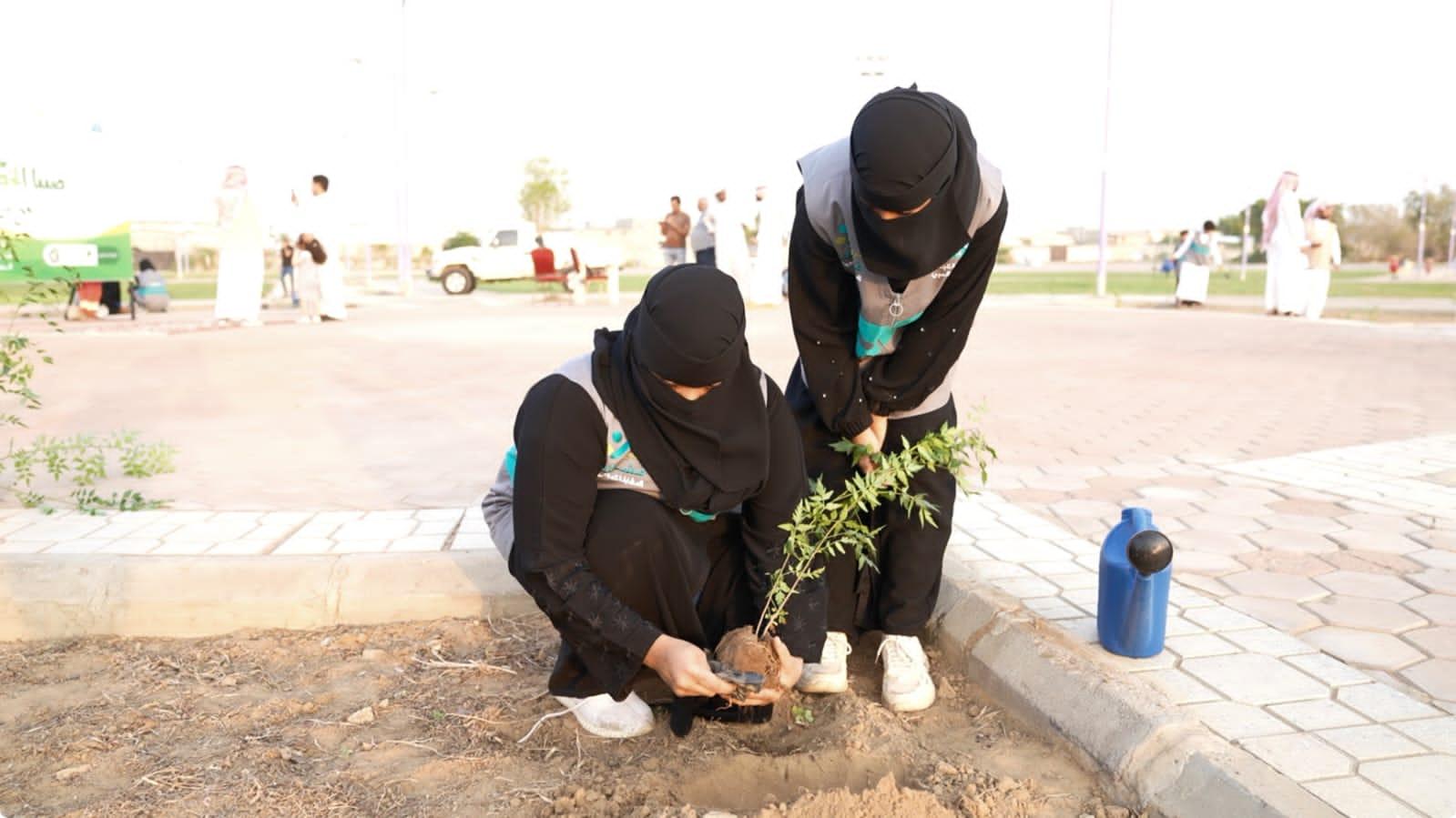 بلدية محافظة صبيا تنفذ مبادرة للتشجير تحت شعار صبيا الخضراء