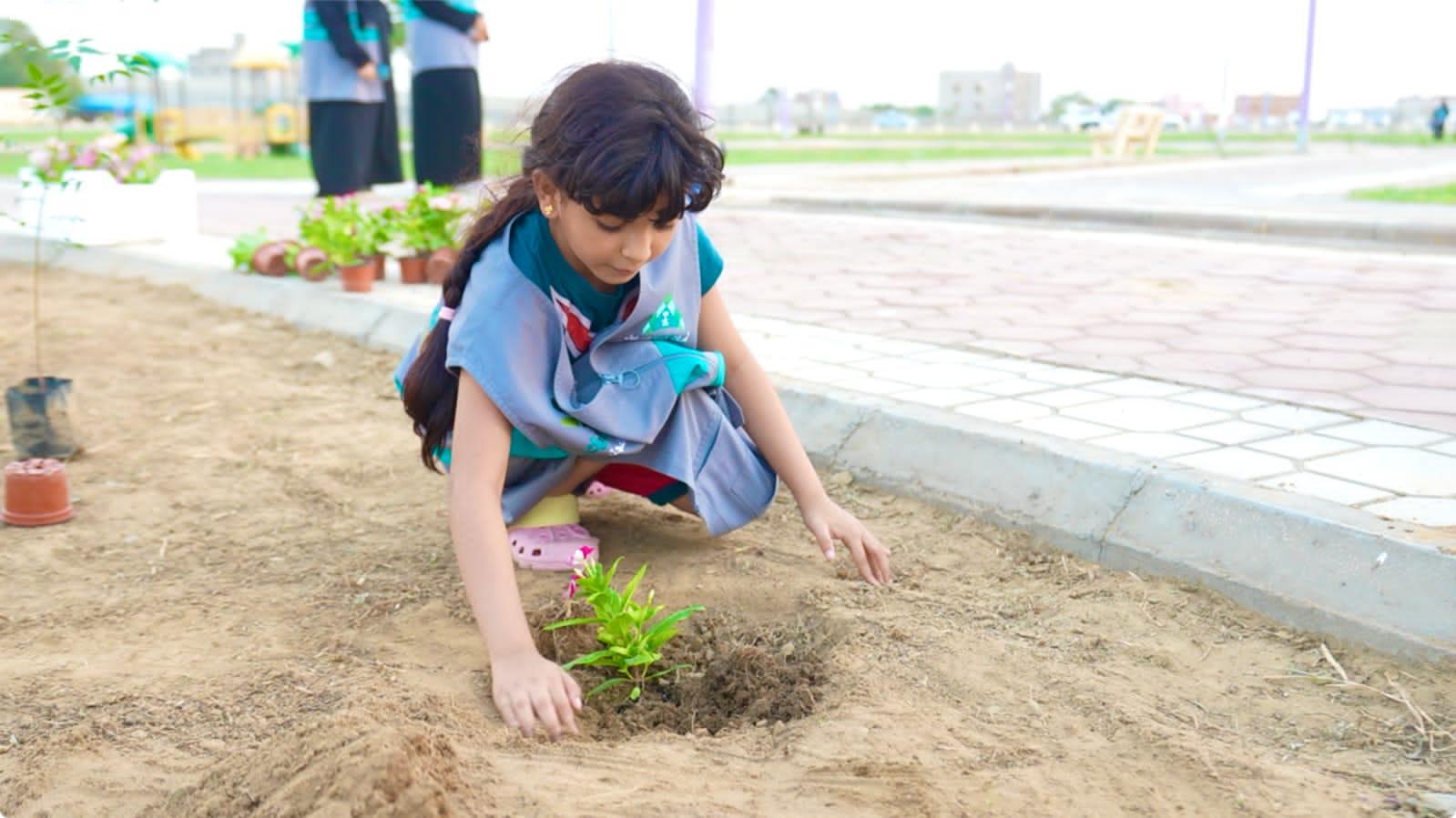 بلدية محافظة صبيا تنفذ مبادرة للتشجير تحت شعار صبيا الخضراء