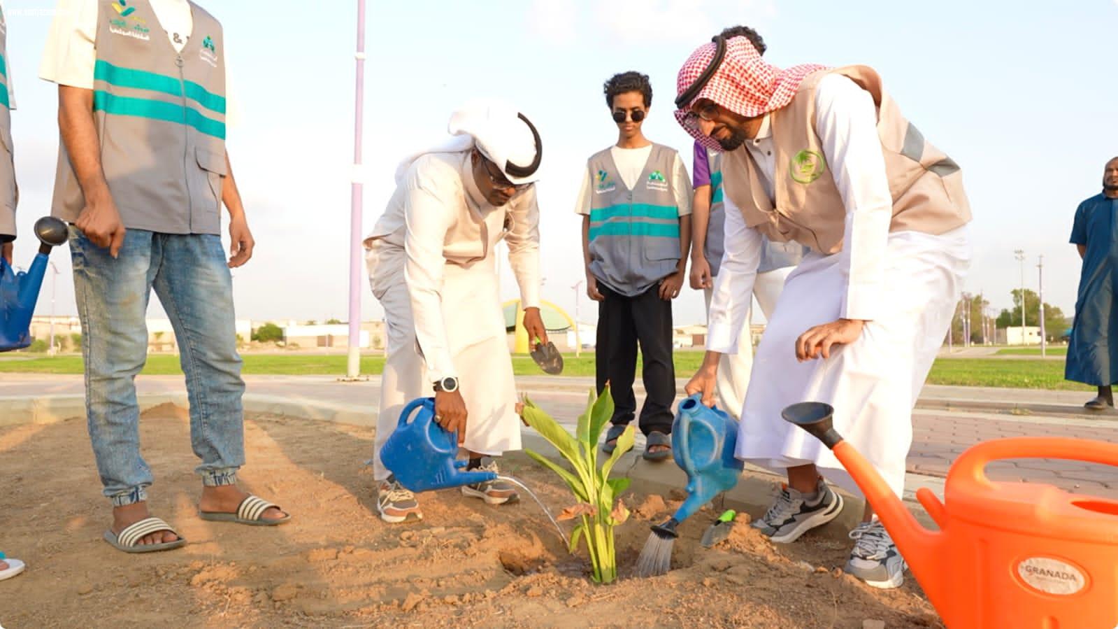 بلدية محافظة صبيا تنفذ مبادرة للتشجير تحت شعار صبيا الخضراء